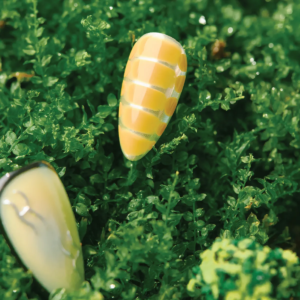 Macro shot of yellow grid-pattern press-on nail displayed on green moss texture
